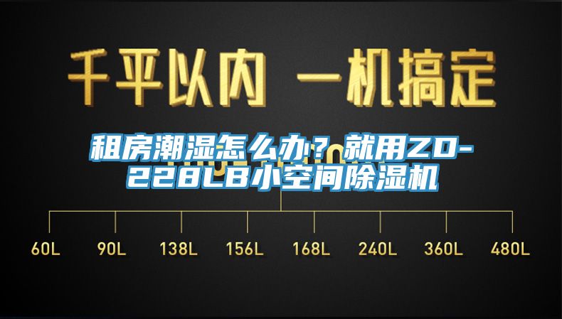 租房潮湿怎么办？就用ZD-228LB小空间除湿机