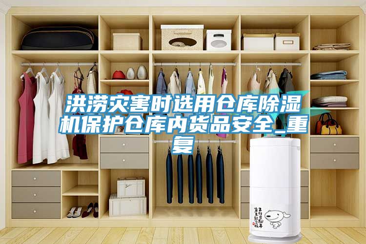 洪涝灾害时选用仓库除湿机保护仓库内货品安全_重复