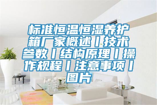 标准恒温恒湿养护箱厂家概述丨技术参数丨结构原理丨操作规程丨注意事项丨图片