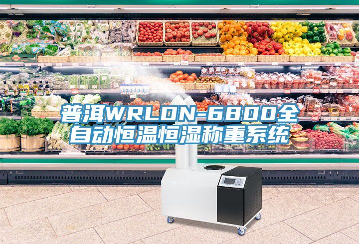 普洱WRLDN-6800全自动恒温恒湿称重系统