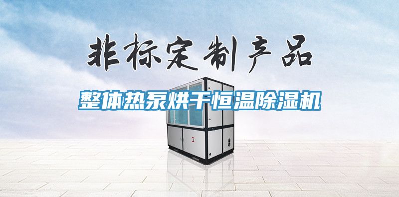 整体热泵烘干恒温除湿机