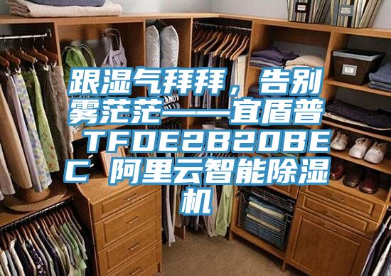 跟湿气拜拜，告别雾茫茫——宜盾普 TFDE2B20BEC 阿里云智能除湿机