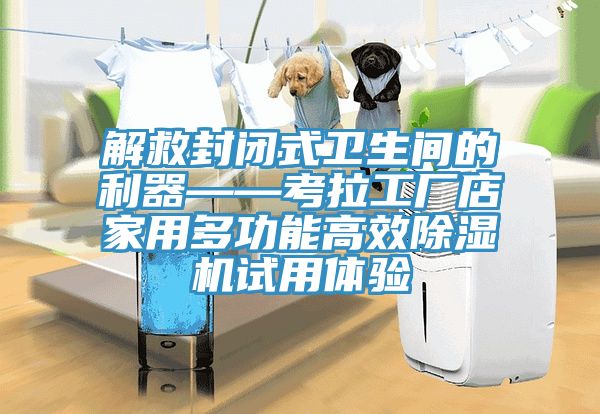 解救封闭式卫生间的利器——考拉工厂店家用多功能高效除湿机试用体验