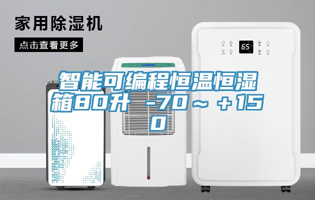 智能可编程恒温恒湿箱80升 -70～＋150℃