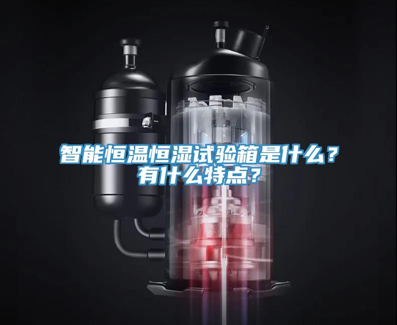 智能恒温恒湿试验箱是什么？有什么特点？