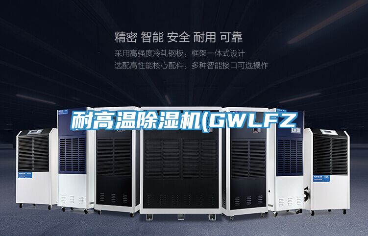 耐高温除湿机(GWLFZ