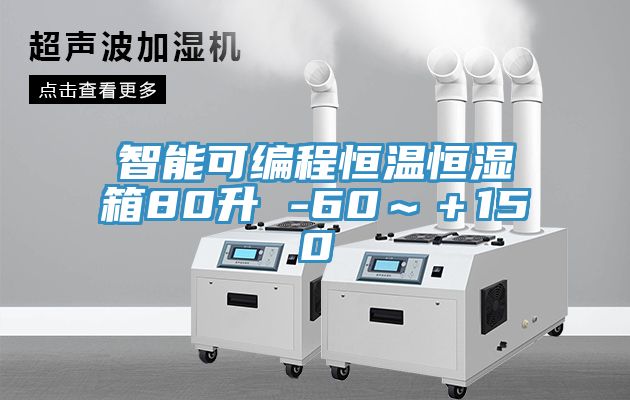 智能可编程恒温恒湿箱80升 -60～＋150℃