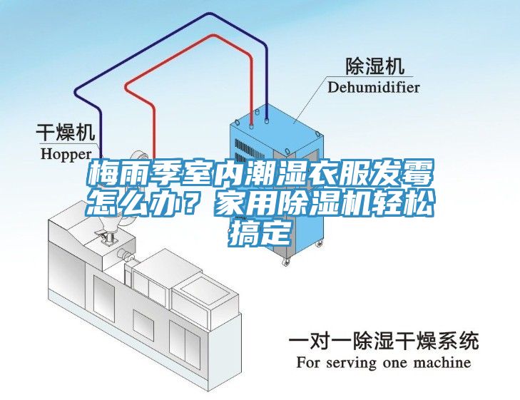 梅雨季室内潮湿衣服发霉怎么办？家用除湿机轻松搞定