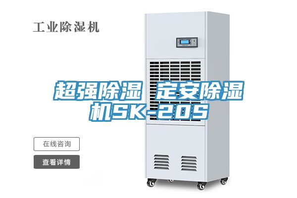 超强除湿 定安除湿机SK-20S