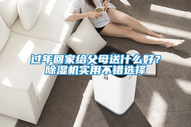 过年回家给父母送什么好？除湿机实用不错选择