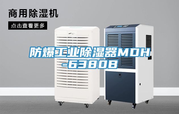 防爆工业除湿器MDH-6380B