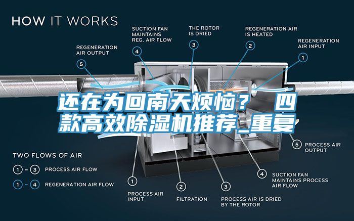 还在为回南天烦恼？ 四款高效除湿机推荐_重复