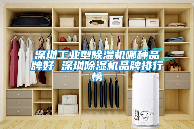 深圳工业型除湿机哪种品牌好 深圳除湿机品牌排行榜