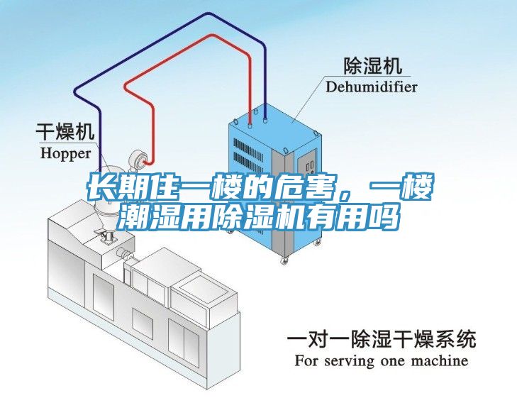 长期住一楼的危害，一楼潮湿用除湿机有用吗