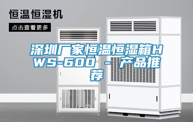 深圳厂家恒温恒湿箱HWS-600 - 产品推荐