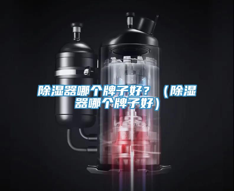 除湿器哪个牌子好？（除湿器哪个牌子好）