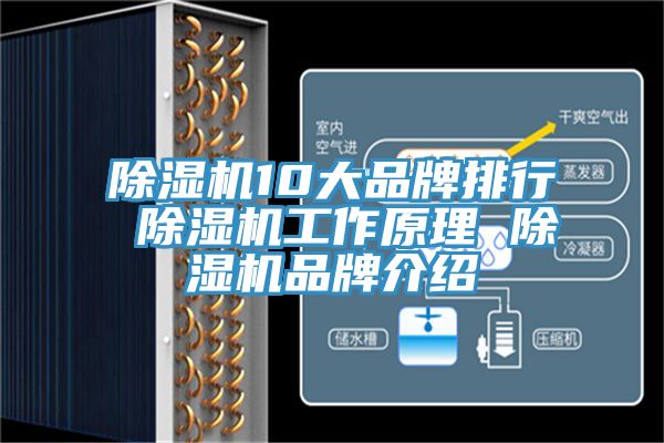 除湿机10大品牌排行 除湿机工作原理 除湿机品牌介绍