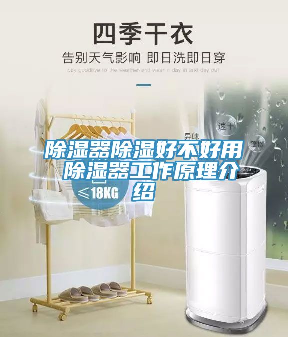 除湿器除湿好不好用 除湿器工作原理介绍