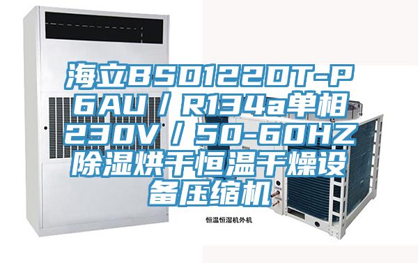 海立BSD122DT-P6AU／R134a单相230V／50-60HZ除湿烘干恒温干燥设备压缩机