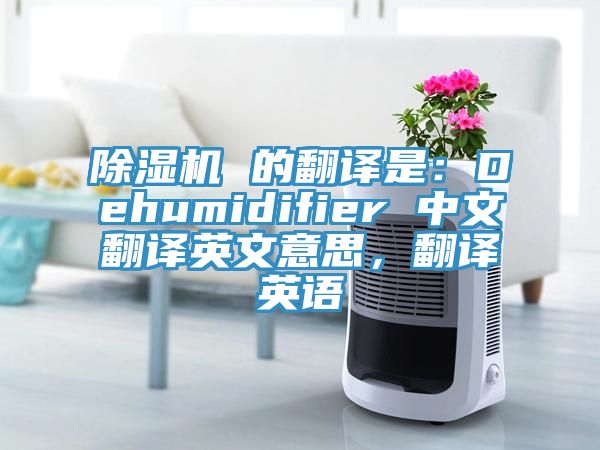 除湿机 的翻译是：Dehumidifier 中文翻译英文意思，翻译英语