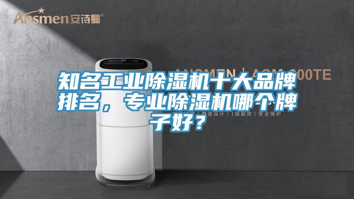 知名工业除湿机十大品牌排名，专业除湿机哪个牌子好？