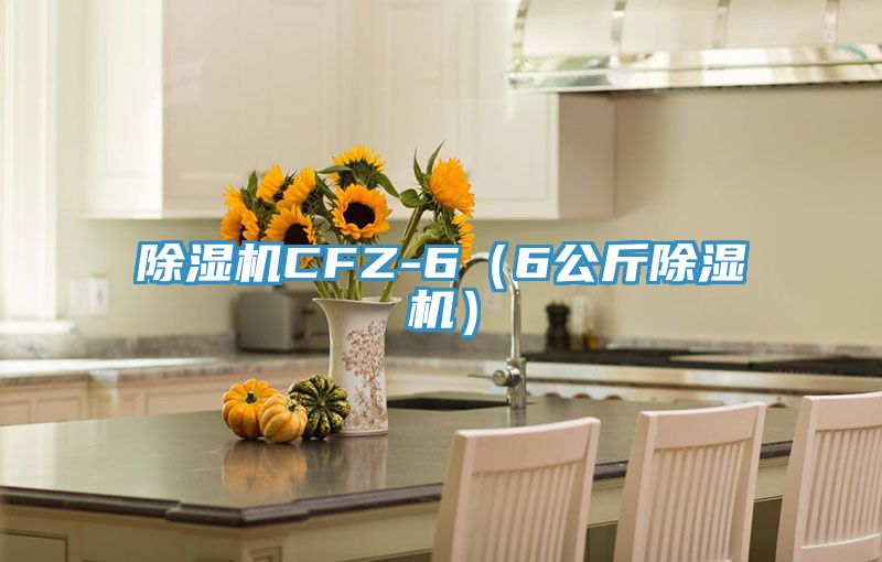 除湿机CFZ-6（6公斤除湿机）