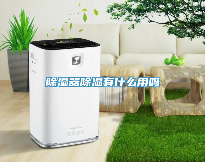 除湿器除湿有什么用吗