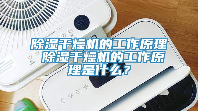 除湿干燥机的工作原理 除湿干燥机的工作原理是什么？