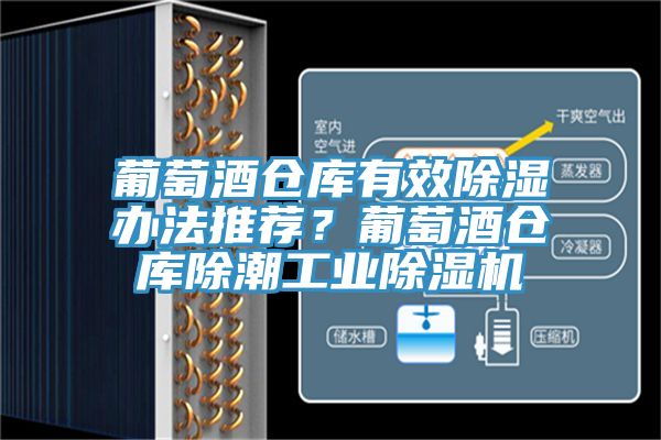 葡萄酒仓库有效除湿办法推荐？葡萄酒仓库除潮工业除湿机