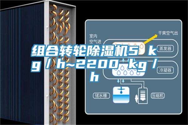 组合转轮除湿机5 kg／h~2200 kg／h