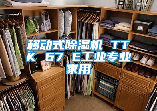 移动式除湿机 TTK 67 E工业专业家用