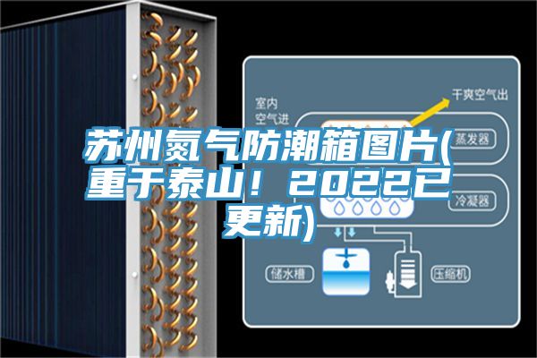 苏州氮气防潮箱图片(重于泰山！2022已更新)