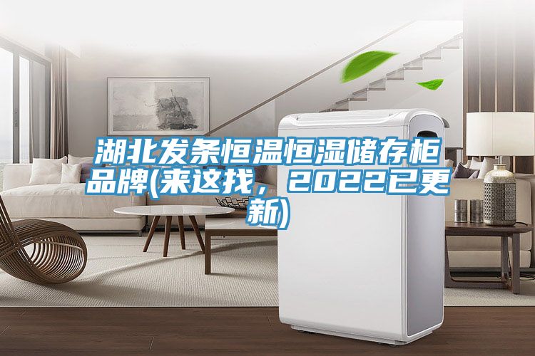 湖北发条恒温恒湿储存柜品牌(来这找，2022已更新)