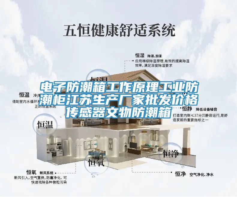 电子防潮箱工作原理工业防潮柜江苏生产厂家批发价格传感器文物防潮箱