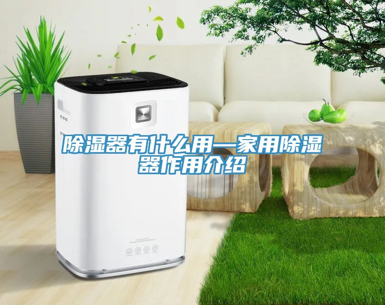 除湿器有什么用—家用除湿器作用介绍