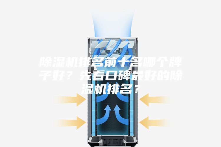 除湿机排名前十名哪个牌子好？先看口碑最好的除湿机排名？