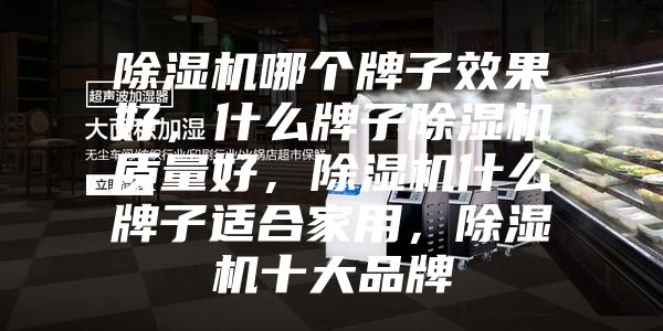 除湿机哪个牌子效果好，什么牌子除湿机质量好，除湿机什么牌子适合家用，除湿机十大品牌
