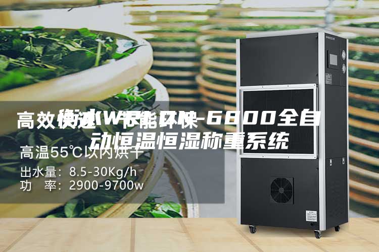 衡水WRLDN-6800全自动恒温恒湿称重系统