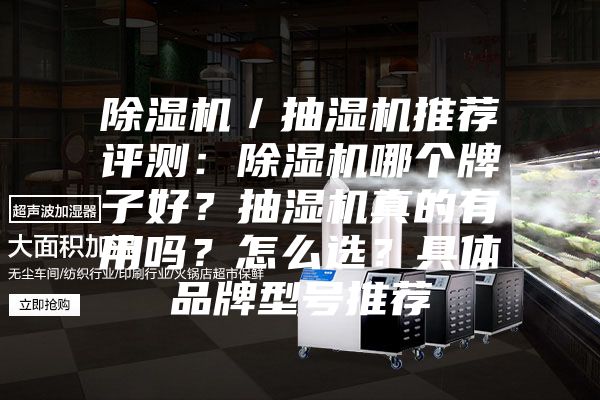 除湿机／抽湿机推荐评测：除湿机哪个牌子好？抽湿机真的有用吗？怎么选？具体品牌型号推荐