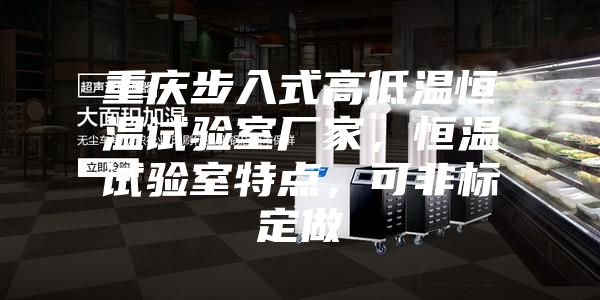 重庆步入式高低温恒温试验室厂家，恒温试验室特点，可非标定做