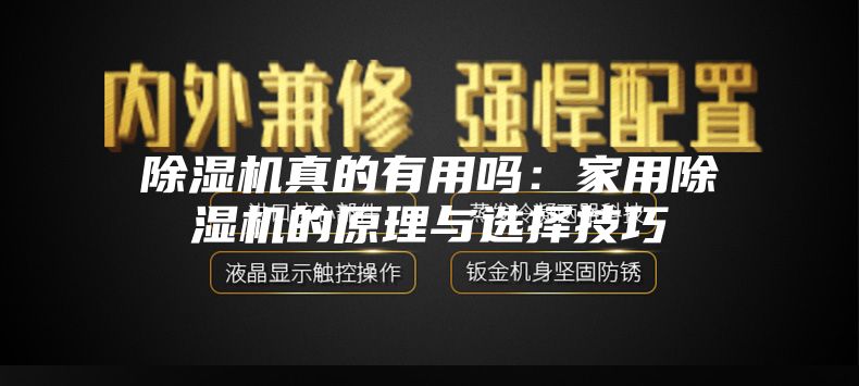 除湿机真的有用吗：家用除湿机的原理与选择技巧