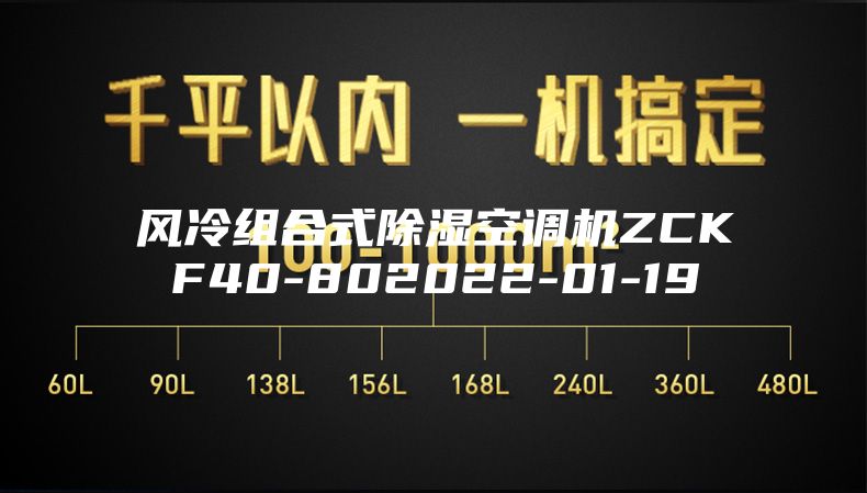 风冷组合式除湿空调机ZCKF40-802022-01-19